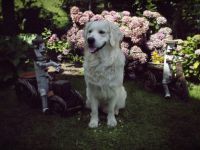 Pep vom Hillersbachtal