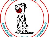 Hunde-Ernährungsberatung-Wetterau