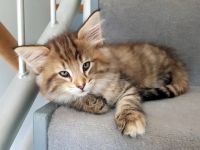 von Moenus in Würzburg, Bayern