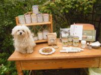 Futterberatung für Hund und Katze