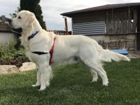 Easy of Be My Forever