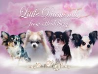 Little Diamonds from Heidelberg