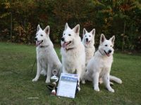 vom Kristallschlössle