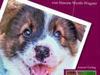 Buch Erziehung im Alltag für Welpe, Hund: Wege zum Familienhund