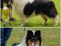 DJ vom bezaubernden Eitrablick