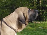 Vom Landgut Lichtenau