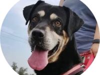 ZOZI - 55 cm - möchte auch endlich gesehen werden!