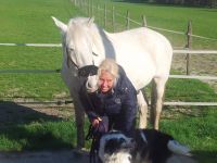 Tierphysiotherapie- und Osteopathie Nina Reich