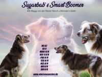 Sugarba´s Smart Boomer