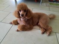 Emanuel vom Winde verweht