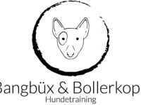 Bangbüx & Bollerkopp Hundetraining