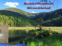 BKH vom Arberland