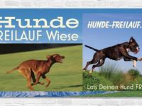 Hunde-Freilauf.de