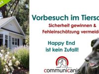 Der Vorbesuch im Tierschutz   18.04.25