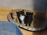 von Nambur und Ley Lines