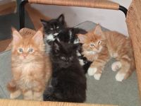 von Nambur und Ley Lines