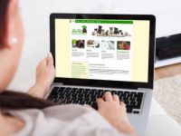 Kostenloser Infoabend zur Ausbildung Hunde- und Katzenernährungsberater*in