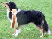 Trulyawesome Peek A Boo