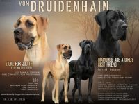 vom Druidenhain