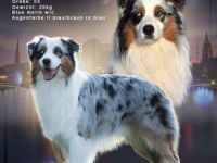 Dreamwalk`s blue magic