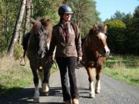 Pferde und Hunde in Balance Claudia Metz