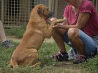 Rella sucht eine sportliche Familie