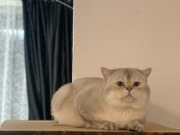 Kay von Ravensberger Land