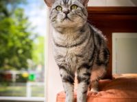 Alvin (Lenin von der Rift Valley)