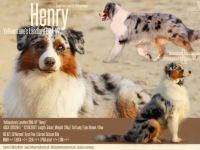 Yellowstone's Landlord "Henry"