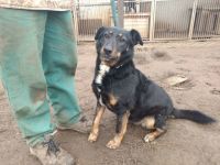 Peggy sucht eine ruhige ausgeglichene Familie