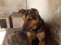 Tappancs hätte eine liebe Familie so sehr verdient