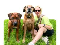 Wolf's Instinkte - Deine Hundeschule