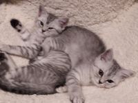 Von Team Anna und Elsa