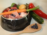 Ernährungsberatung für Hunde