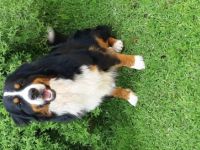 Leo Von den Zusamauen