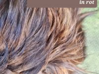 Die kleinen sind am 03.05.22 auf die Welt gekommen..