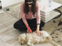 Tierphysiotherapie und Akupunktur Ricarda Nikolayzik