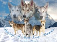 Whitefang's ... of Angou Loup's Mountain