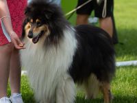 Dawning Hope z Bohušova vrchu