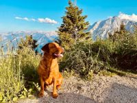 von den Ruhrpottwichteln