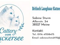 Cattery vom Zuckersee