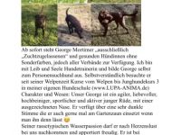 Famous George Mortimer