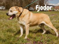 Fjodor- Du und ich gegen den Rest der Welt