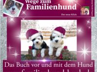 Wege zum Familienhund - Weihnachten 2022