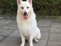 Argon Snow von der Nordhelle