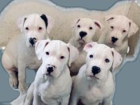 Beschreibung Details Anbieter Hallo, an alle