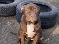 Beste geschenk für weinachten!!! Ich habe 4wunderschöne