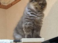 Meine zwei Designer Mädchen „Jil Sander“ und „Paloma