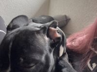 Auf Grund der Allergie unseres sohnes müssen wir