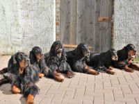 Von Duncunyah Castle